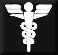 The symbol of Dr. McCoys profession...